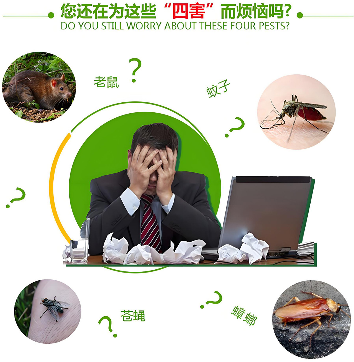 您還在為這些“四害”而煩惱嗎?